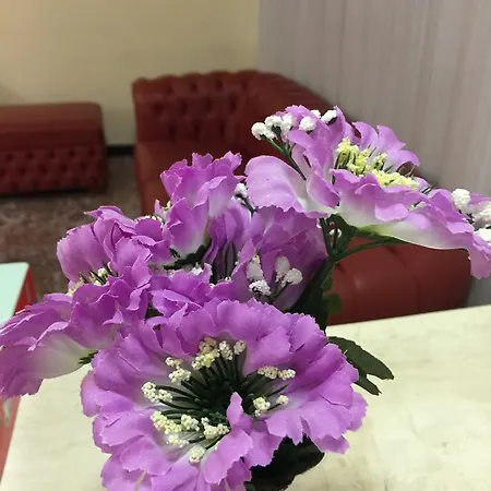 Готель Hotel Attico К'янчіано-Терме